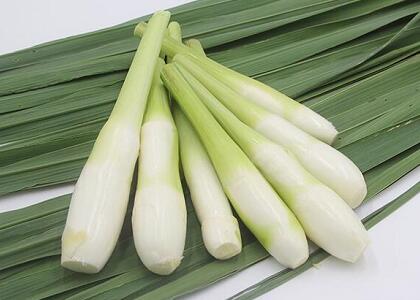 新鮮蔬菜配送:茭白