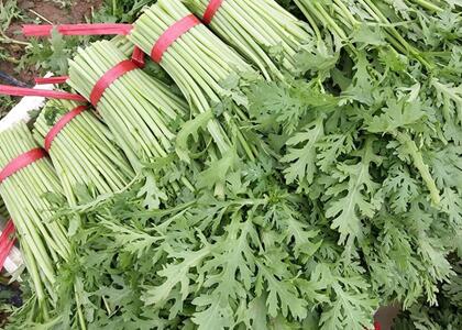 配送新鮮蔬菜:茼蒿